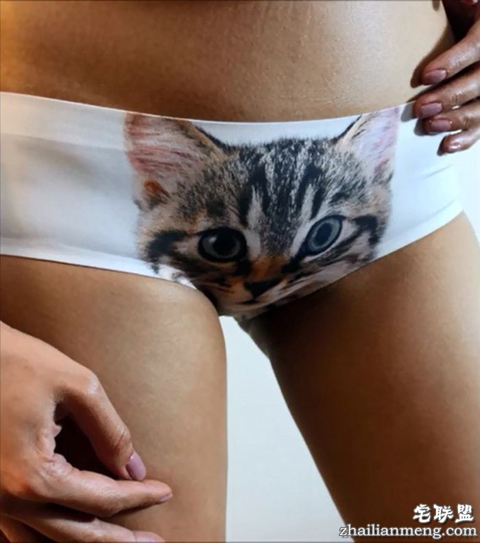 防走光喵星人内裤pussycat
