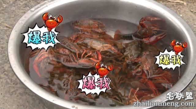 天啦噜！居然有人用爆米花的大炮筒爆小龙虾，看到结果我惊呆了