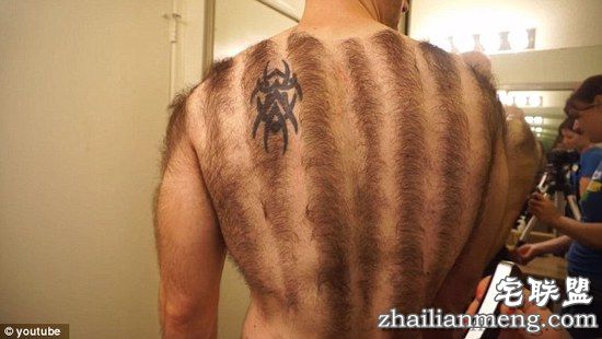 他这能叫胸毛么？？简直是一整件毛衣好嘛！！！