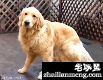 精选gif图：好阴险呀！这种行为会被鄙视的！