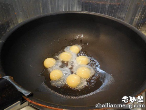 乌龟蛋好吃么？乌龟每年产十几颗蛋给主人煎了吃