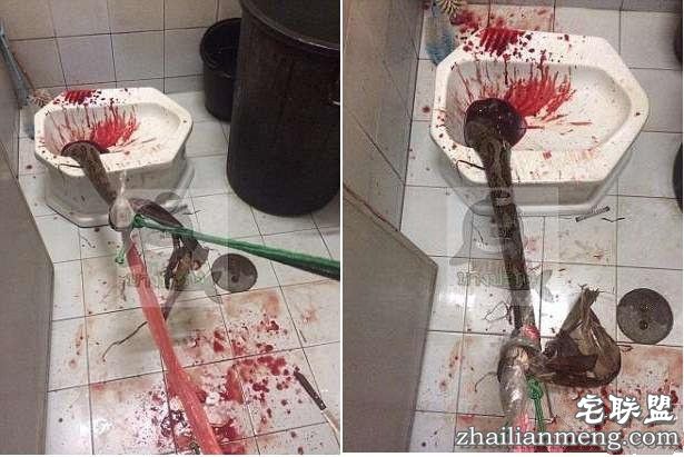 男子上厕所被一条大蟒蛇紧紧咬住了下体 惨叫声不断！