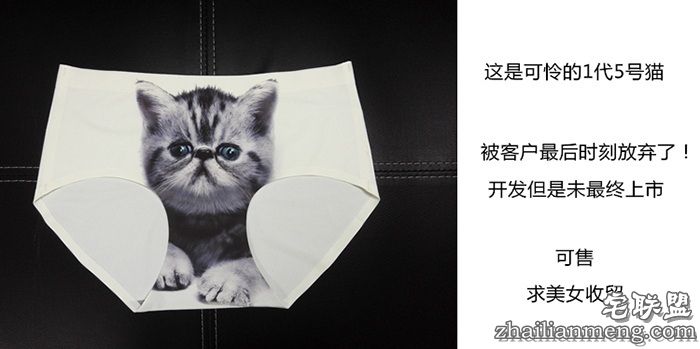 防走光喵星人内裤pussycat