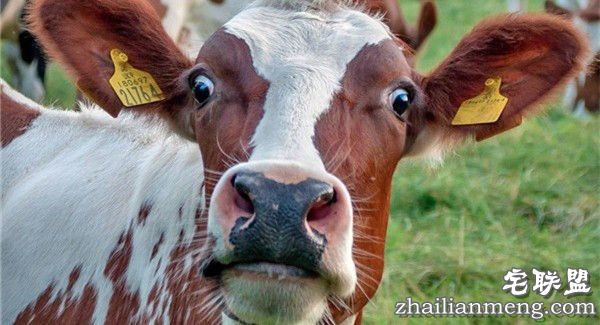 除了cup，乳房竟然还有10处看点！