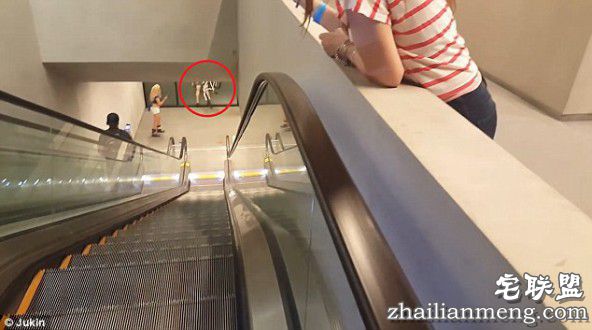 美国少年骑自行车下电梯 没刹住直接撞墙上！