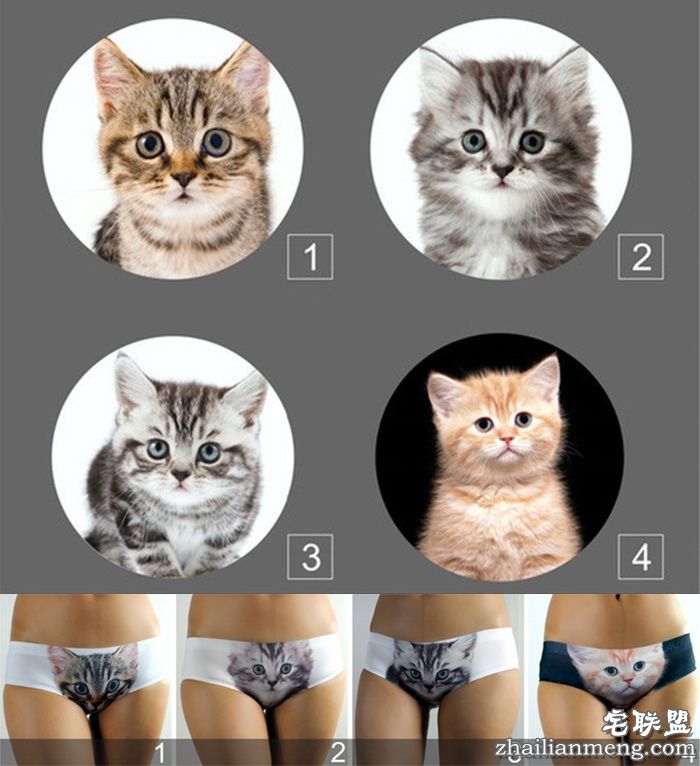 防走光喵星人内裤pussycat