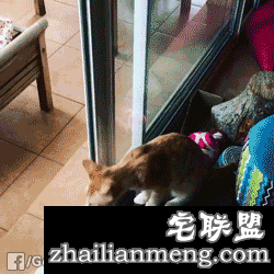 精选gif图：好阴险呀！这种行为会被鄙视的！