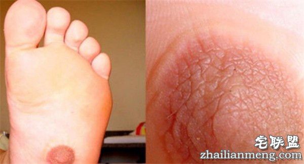 除了cup，乳房竟然还有10处看点！