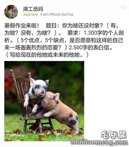 奇葩的暑假作业题目：你为啥还没对象
