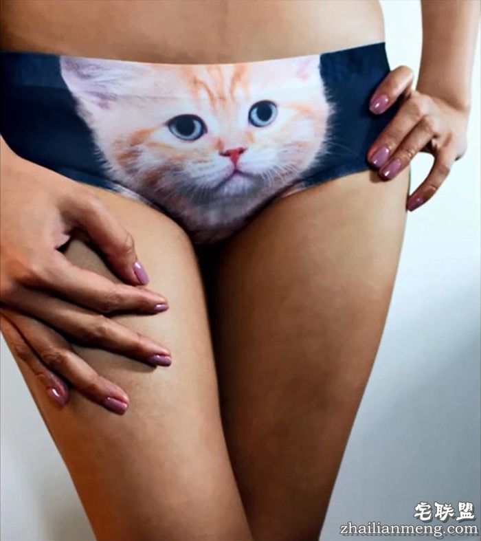 防走光喵星人内裤pussycat