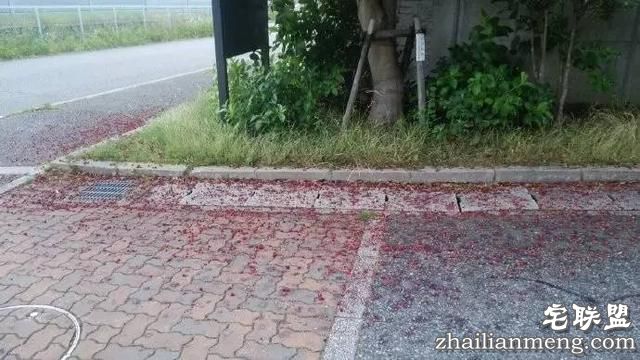 一小哥狂奔赶公车