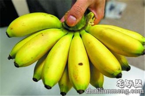 女童吃芭蕉噎死   父母将赠蕉者告上法庭