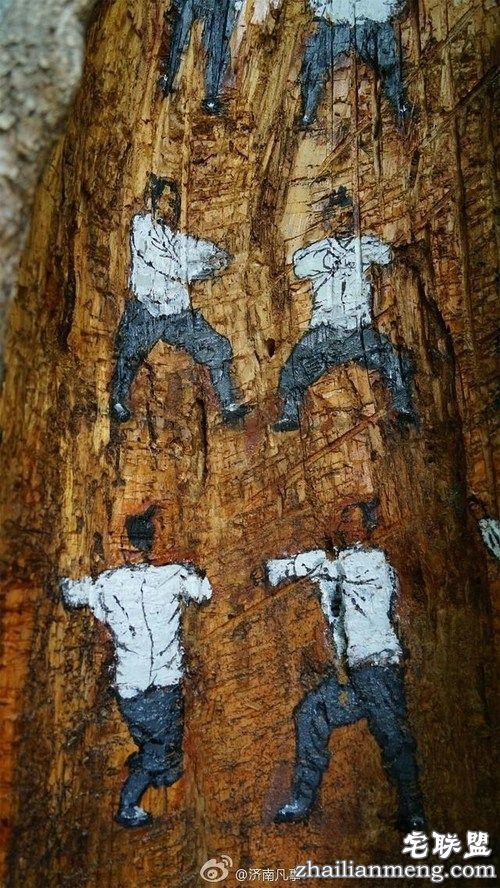 树洞惊现武功秘籍