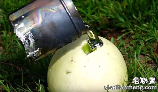 好好的香瓜不吃居然要倒入液态铝？然而剖开后才明白他的用心良苦