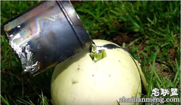好好的香瓜不吃居然要倒入液态铝？然而剖开后才明白他的用心良苦