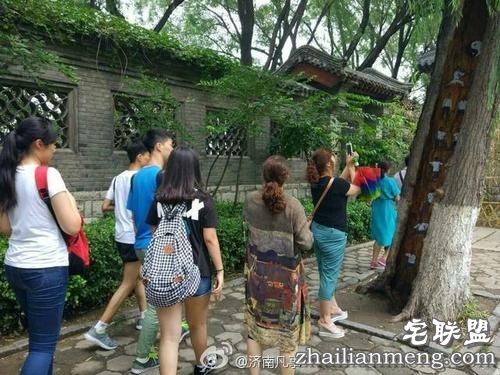 树洞惊现武功秘籍