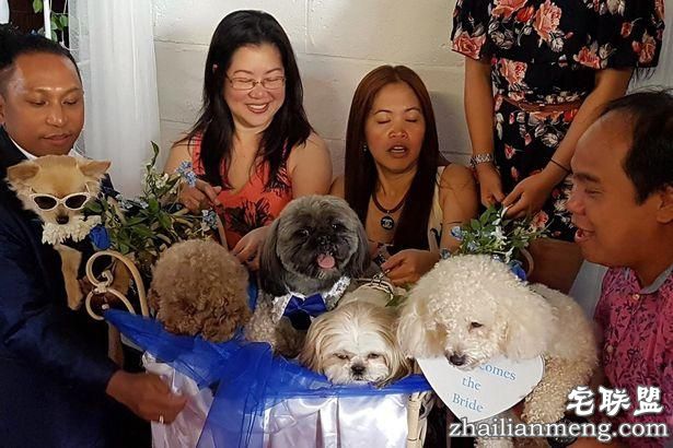 英国女子花1.7万元为狗办婚礼