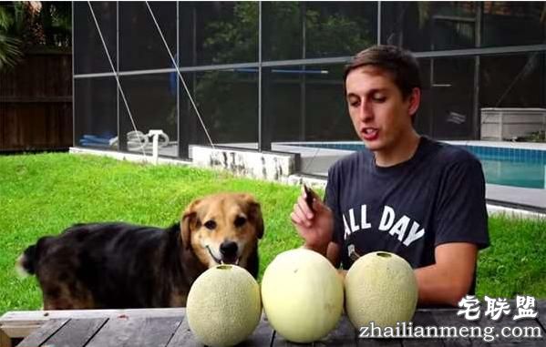 好好的香瓜不吃居然要倒入液态铝？然而剖开后才明白他的用心良苦