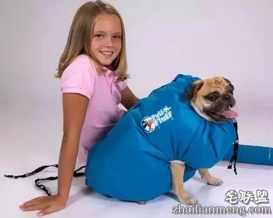 17个脑洞大开的搞笑发明，忍不住给满分！