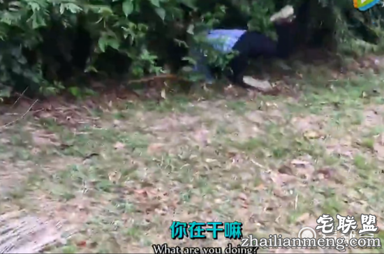 霸气四溅!这女人瞬间拿下两米长蛇