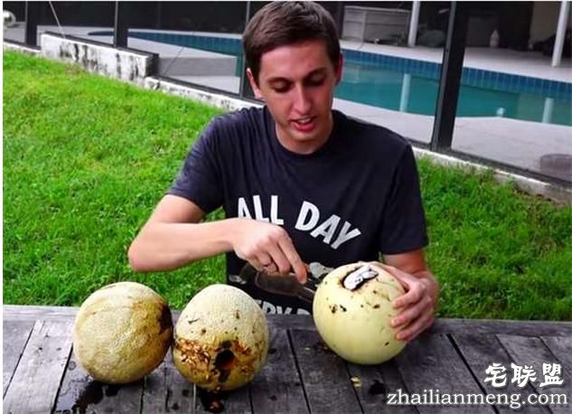 好好的香瓜不吃居然要倒入液态铝？然而剖开后才明白他的用心良苦