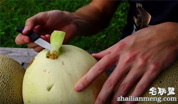 好好的香瓜不吃居然要倒入液态铝？然而剖开后才明白他的用心良苦