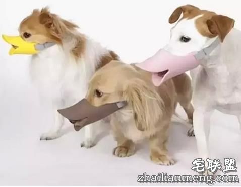 17个脑洞大开的搞笑发明，忍不住给满分！