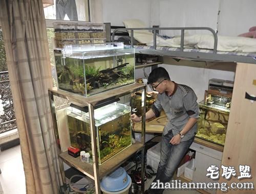 现在大学宿舍流行男生种黄瓜女生种西瓜