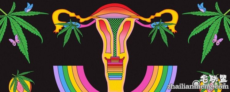 美国推大麻版卫生棉条，大姨妈嗨了