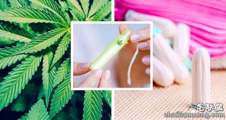 美国推大麻版卫生棉条，大姨妈嗨了