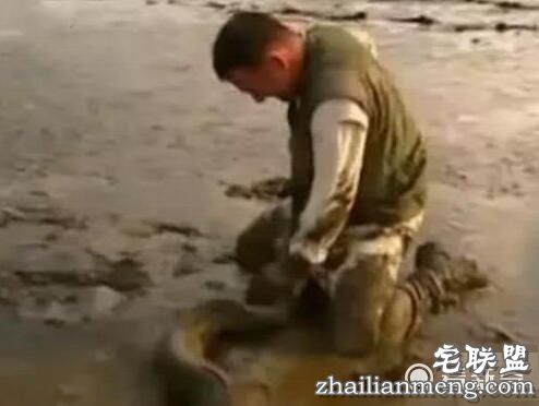 男子被蟒蛇咬住命根