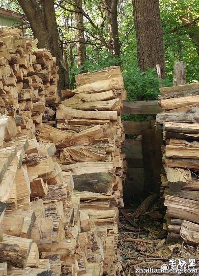 猫奴指数测试，在画面中找出主子！