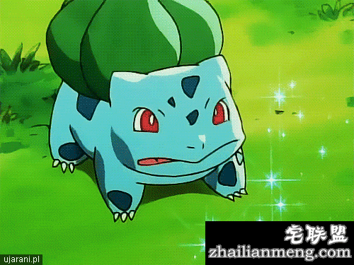 美国推大麻版卫生棉条，大姨妈嗨了