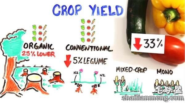 这就是为什么“只吃有机蔬果”可能会摧毁地球环境跟你的健康--趣味说