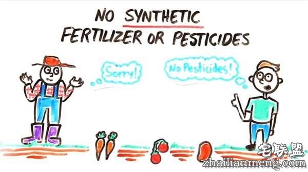 这就是为什么“只吃有机蔬果”可能会摧毁地球环境跟你的健康--趣味说