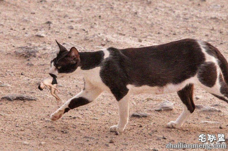 他醉酒照被传到网上后，又被神奇的网友玩坏了