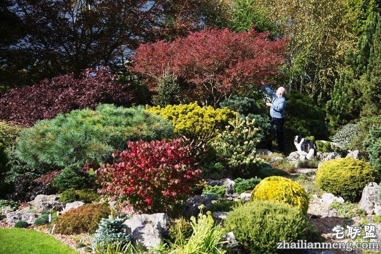 英国爸爸花费25年，打造浪漫秘密花园