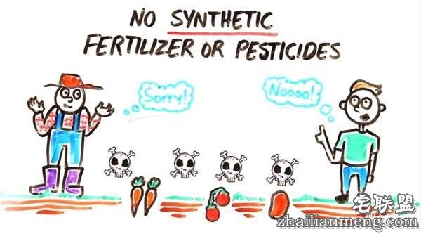 这就是为什么“只吃有机蔬果”可能会摧毁地球环境跟你的健康--趣味说