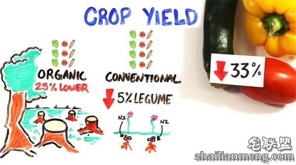 这就是为什么“只吃有机蔬果”可能会摧毁地球环境跟你的健康--趣味说