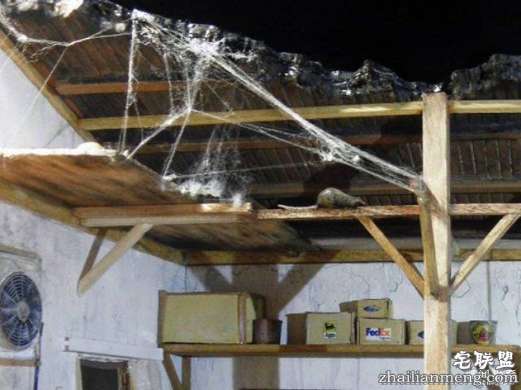 日本男子做出超迷你废墟模型，太不可思议了