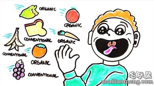 这就是为什么“只吃有机蔬果”可能会摧毁地球环境跟你的健康--趣味说