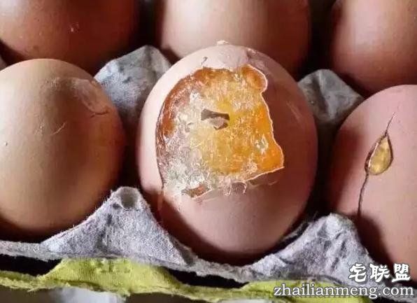 超级霸王寒潮把南方人都冻懵了 还入冬失败？