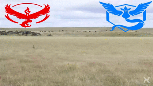 搞笑强：姑娘看样你需要个男人来照顾你了