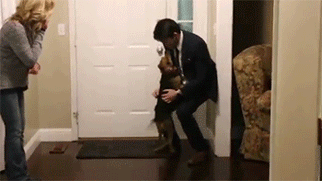 狗狗这十种暴力示爱方式，哪种让你最感动？