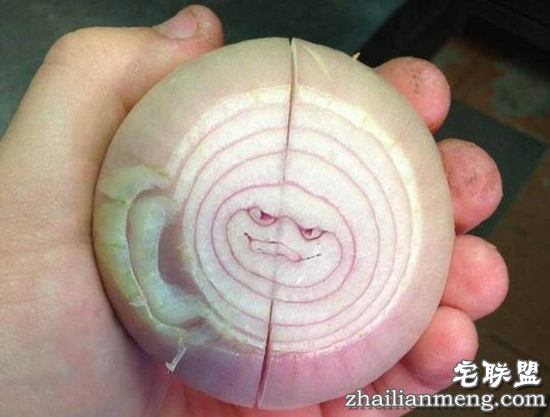 一大波恐怖又幽默的家庭日用品表情包