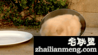 大叔失望的表情令人同情啊哈哈。。。