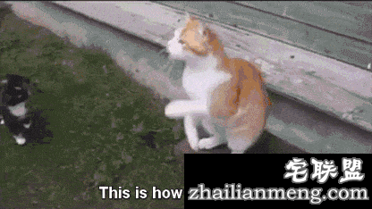 超级霸王寒潮把南方人都冻懵了 还入冬失败？