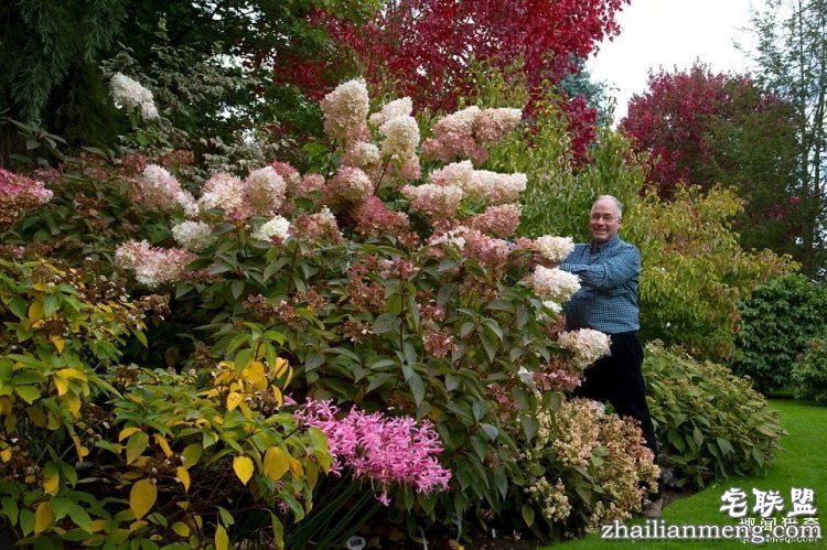 英国爸爸花费25年，打造浪漫秘密花园