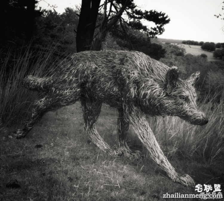 CandiceBees让你惊呆的动物雕塑！