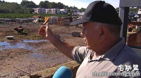 在西班牙用公牛看家要比看家狗效果好！ 第2张图片